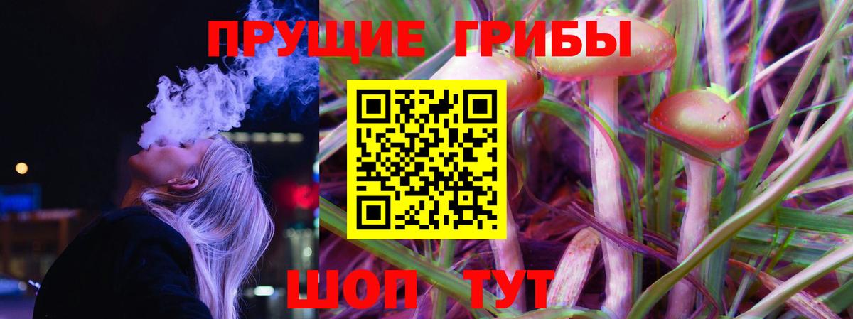 Галлюциногенные грибы Psilocybine cubensis  Вход с VPN  Мыски  Псилоцибиновые грибы Psilocybine cubensis 